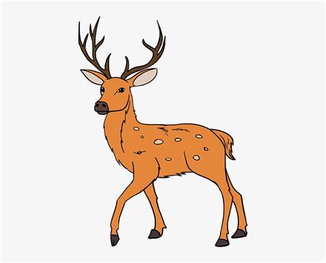 Dibujo De Venado Pintado A Mano Dibujo Deer Cabeza De Ciervo Dibujo