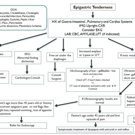An Algorithm For Generalized Abdominal Tenderness Img Imaging Lab