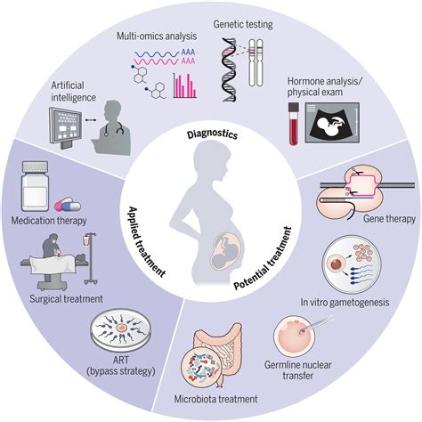 Understanding The Genetics Of Human Infertility Science