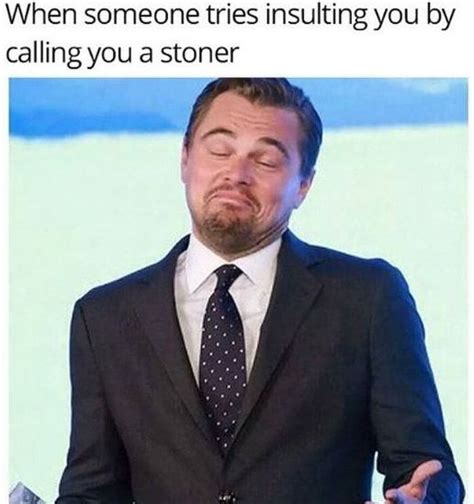 50 Memes Thatll Make Any Stoner Laugh Hysterically Until They Forget