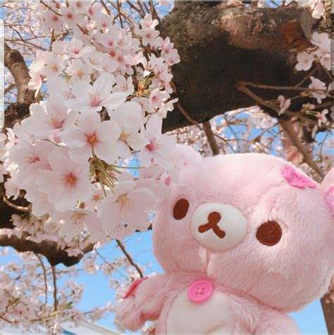San X 16 Sakura Cherry Blossom Pink Floral Rilakkuma Korilakkuma Plush
