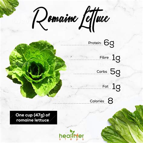 Romaine Lettuce Nutrition And Benefits Healthier Steps