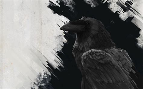 Black Raven Wallpapers Top Free Black Raven Backgrounds Wallpaperaccess