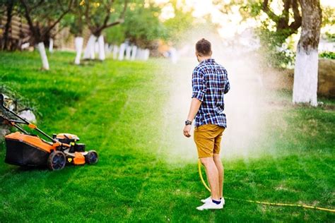 If your grass turns dull green, or blue, you may need to water a lawn more often. Lawn Watering Guidelines - How Often And How Much? | House Life Today