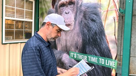 Chimpanzee sanctuaries are under fire. Can a new science-based tool