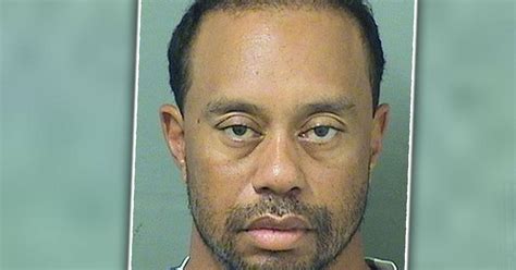 Tiger Woods Arrested Dui Florida