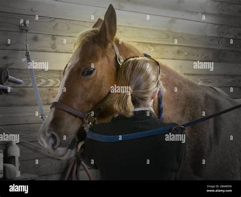 The Bond Between Horse And Human Is Often Difficult To Put Into Words