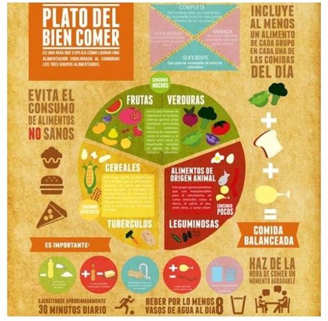 plato del buen comer típs alimenticio health and nutrition spanish food unit workout food