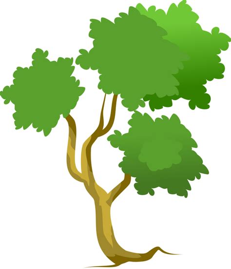 Albero Png Foresta 8854005 Png