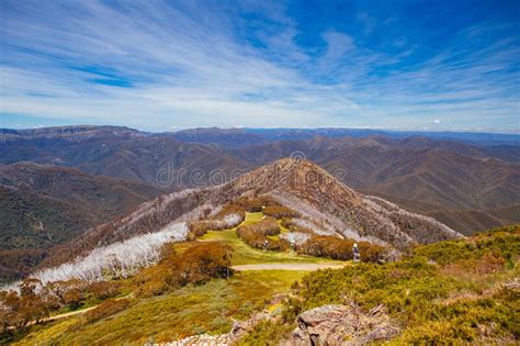 Mt Buller View In Australia Stock Photo Image Of Natural Grass
