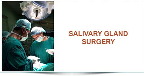 Anatomy Of The Salivary Glands Surgery Oxford Interna