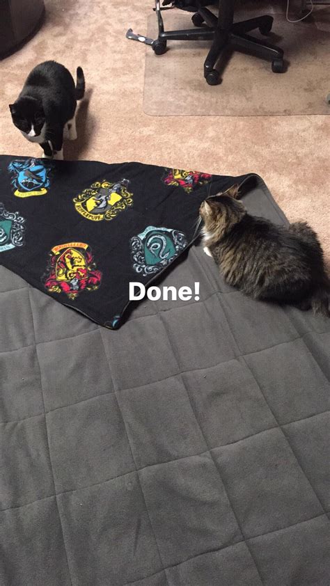 My husband bought me a weighted blanket but after 2 days the seams