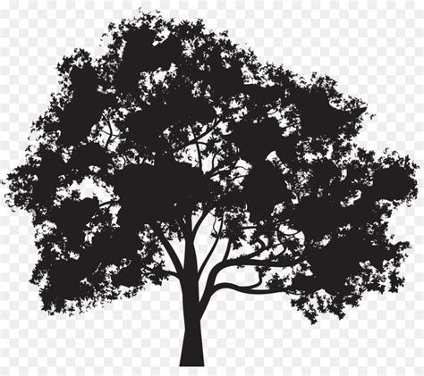 Free Live Oak Tree Silhouette Download Free Live Oak Tree Silhouette
