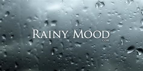 When you meditate, you pay attention to your breathing and feelings. Cordobanauta: RAINY MOOD: EL SONIDO DE LA LLUVIA