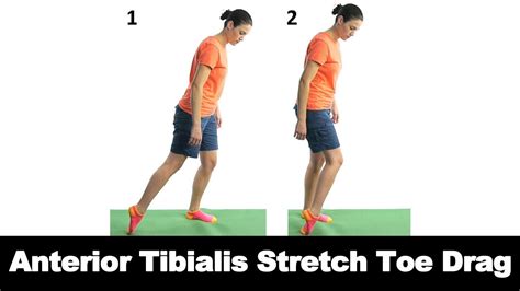 Seated Tibialis Anterior Stretch