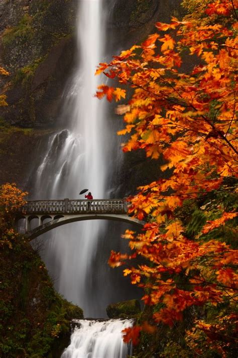 Best Scenic Views Multnomah Falls Under An Autumn Moon Columbia River