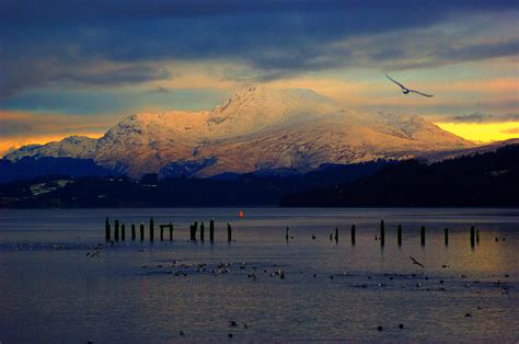 Ben Lomond Winter Morning Photograph By Iain Macvinish