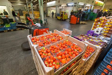 Check spelling or type a new query. Best way to Ship Food items along with Dry Ice and using ...