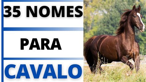 Nomes Para Cavalo Fêmea