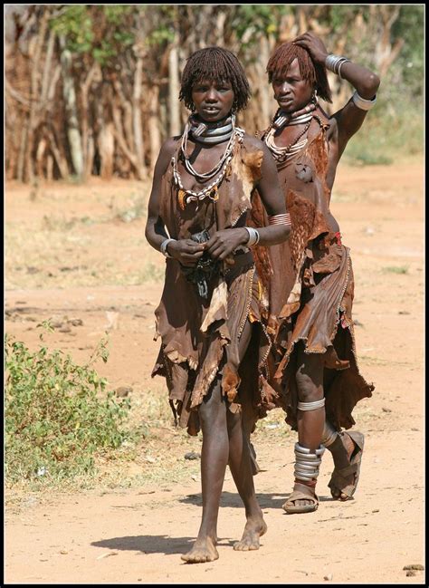 Hamar Vrouwen Omovallei Ethiopi Afrikaanse Vrouwen