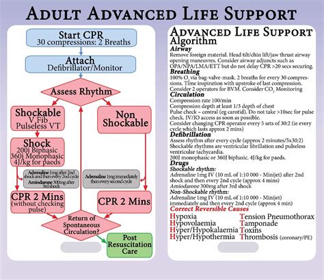 Advanced Life Support Algorithm Lanyard Reference Card Als Acls Ebay