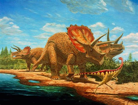 Cretaceous Dinosaurs Photograph By Chris Butler Pixels