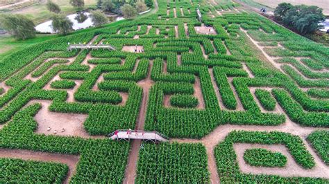 Some local parks will let you rent them, but you can also purchase one to. Corn Maze Near Me? These New York Spots Are Perfect for ...