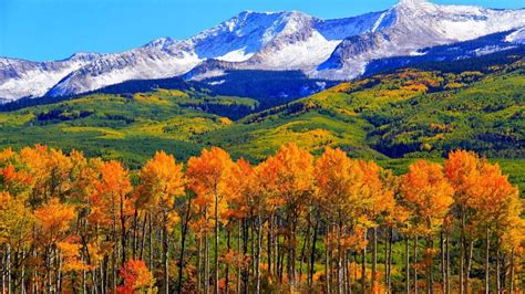 Autumn Colorado Fall Snowy Mountains Nature Landscape Hd