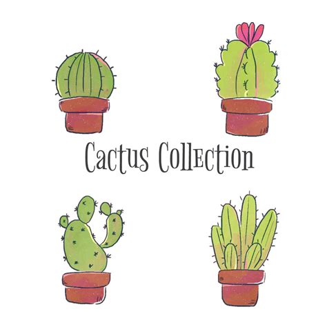Cute Cactus Set Collection 210738 Vector Art At Vecteezy