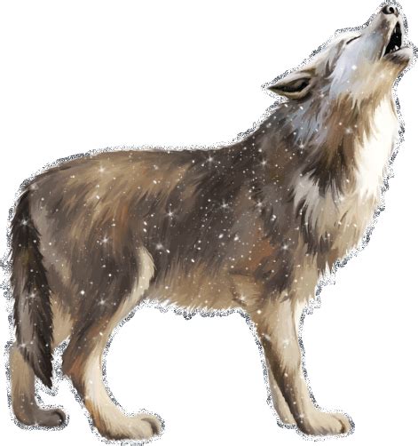Howling Wolf GIF Animated Picture
