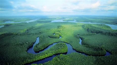 Congo River And Forest Top Facts You Should Know Environmental Earth