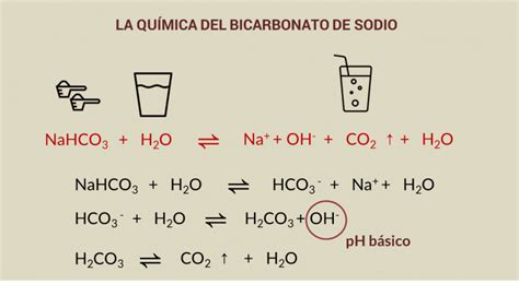 Bicarbonato De Sodio En Agua Reaccion Ciencia Y Cosmética
