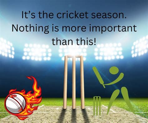 Best Collection Of Catchy Slogans For Cricket Tournament