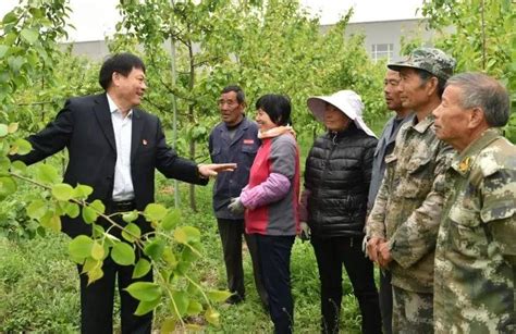 陈学森教授团队历时 年育成的山农酥亩均收益至少增万元 齐鲁 品种 程序