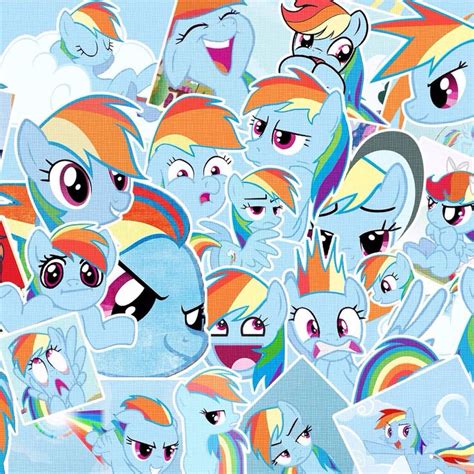 Rainbow Dash Everywhere Rainbow Dash My Lil Pony Pony