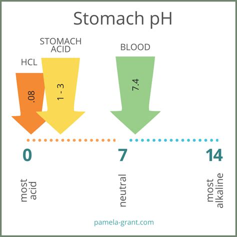 Gastric Acid Ph