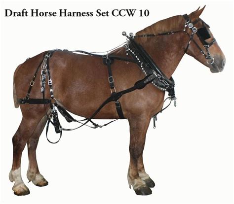 Amish Lightweight Draft Horse Team Biothane Harness Set