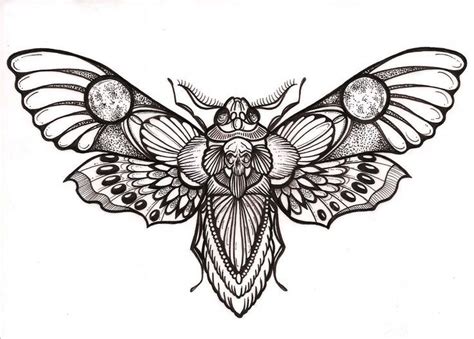 Moth Tattoo Design Insect Tattoo Moth Tattoo