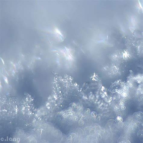 Sparkling Snow Flickr Photo Sharing