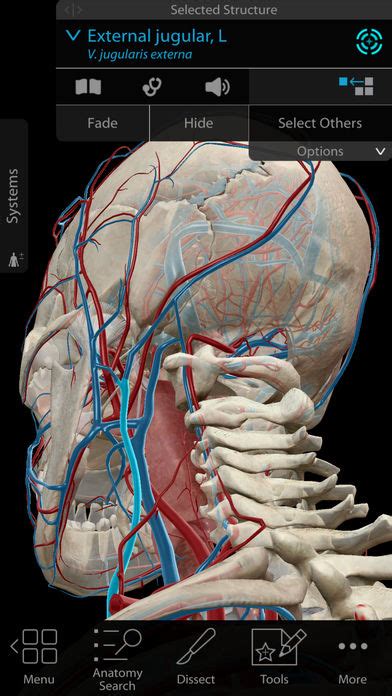 Available for ios, android, windows, mac, chromebooks and as site licenses. Human Anatomy Atlas 2018 - Complete 3D Human Body for iOS ...