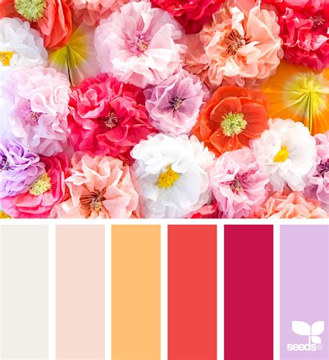 Festive Flora Seeds Color Spring Color Palette Design Seeds