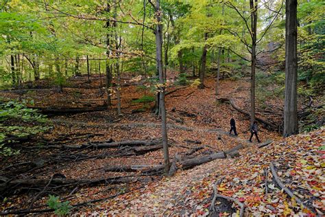 The top 10 walking trails in Toronto