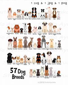57 Breeds Of Dog Chart Svg Jpg Png 1620 39 39 Etsy Dog Chart Dog
