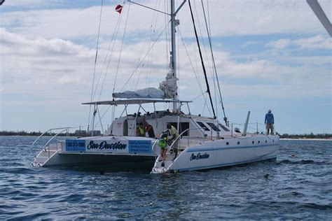 Tripadvisor Catamaran Sailing And Snorkeling Tour Provided By Reef
