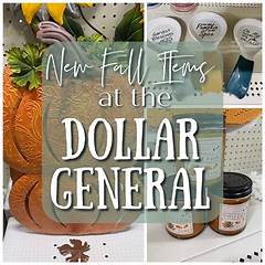 Affordable Treasures For The Fashionista Budget Friendly Finds To Elevate Your Wardrobe