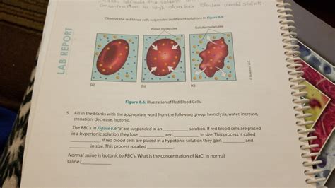 Solved Observe The Red Blood Cells Suspended In Different Chegg Com