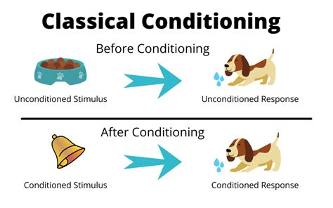 Examples Of Classical Conditioning