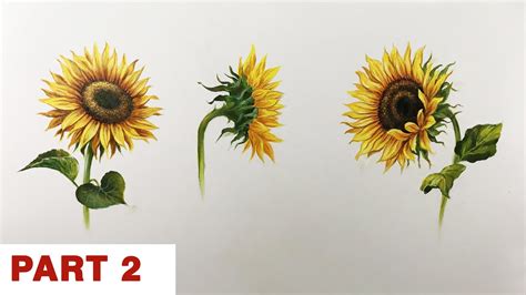 How To Paint A Sunflower In Acrylic Step By Step Painting Part