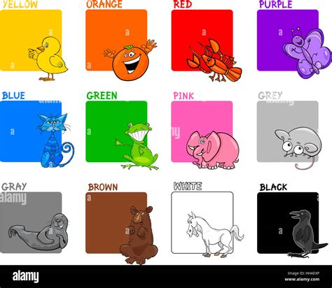 Education Animals Illustration Cartoon Primary Colors Colours