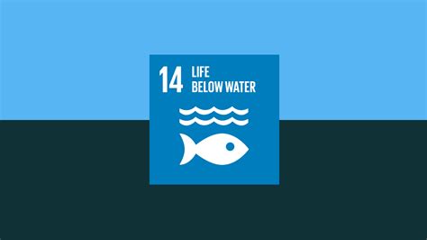 Life Below Water Scotlands Sustainable Development Goals Network